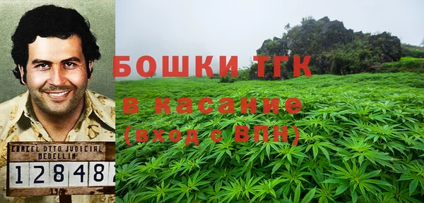ПСИЛОЦИБИНОВЫЕ ГРИБЫ Осташков