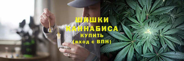ПСИЛОЦИБИНОВЫЕ ГРИБЫ Осташков