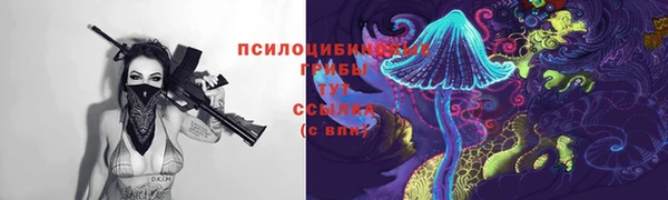 Альфа ПВП Осинники