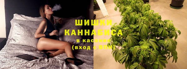ПСИЛОЦИБИНОВЫЕ ГРИБЫ Осташков