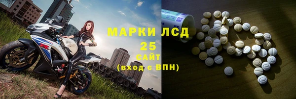 ПСИЛОЦИБИНОВЫЕ ГРИБЫ Осташков